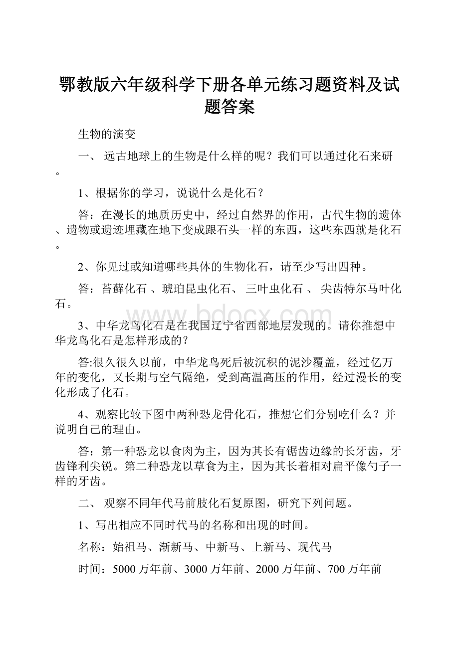 鄂教版六年级科学下册各单元练习题资料及试题答案.docx