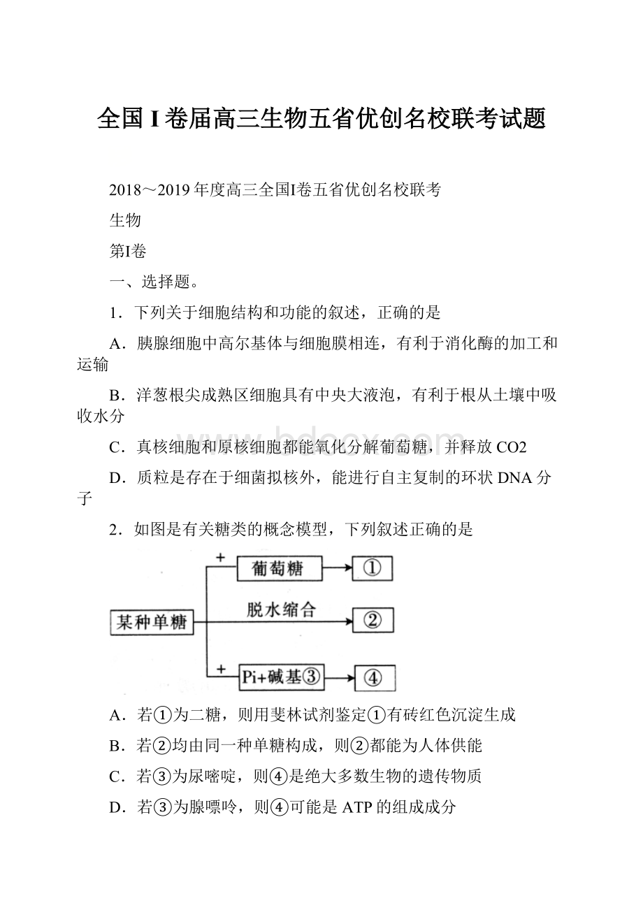 全国I卷届高三生物五省优创名校联考试题.docx