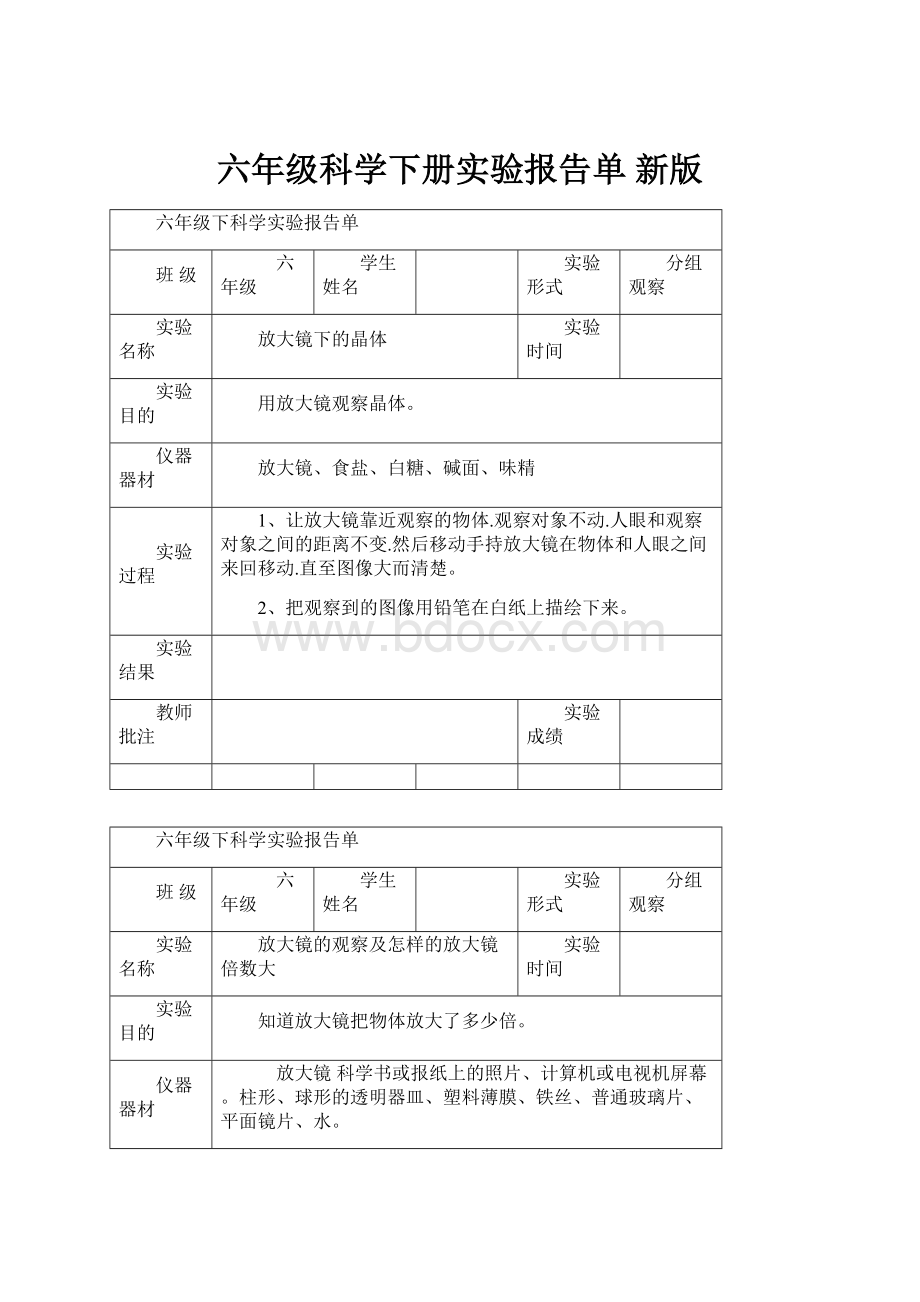 六年级科学下册实验报告单 新版.docx_第1页