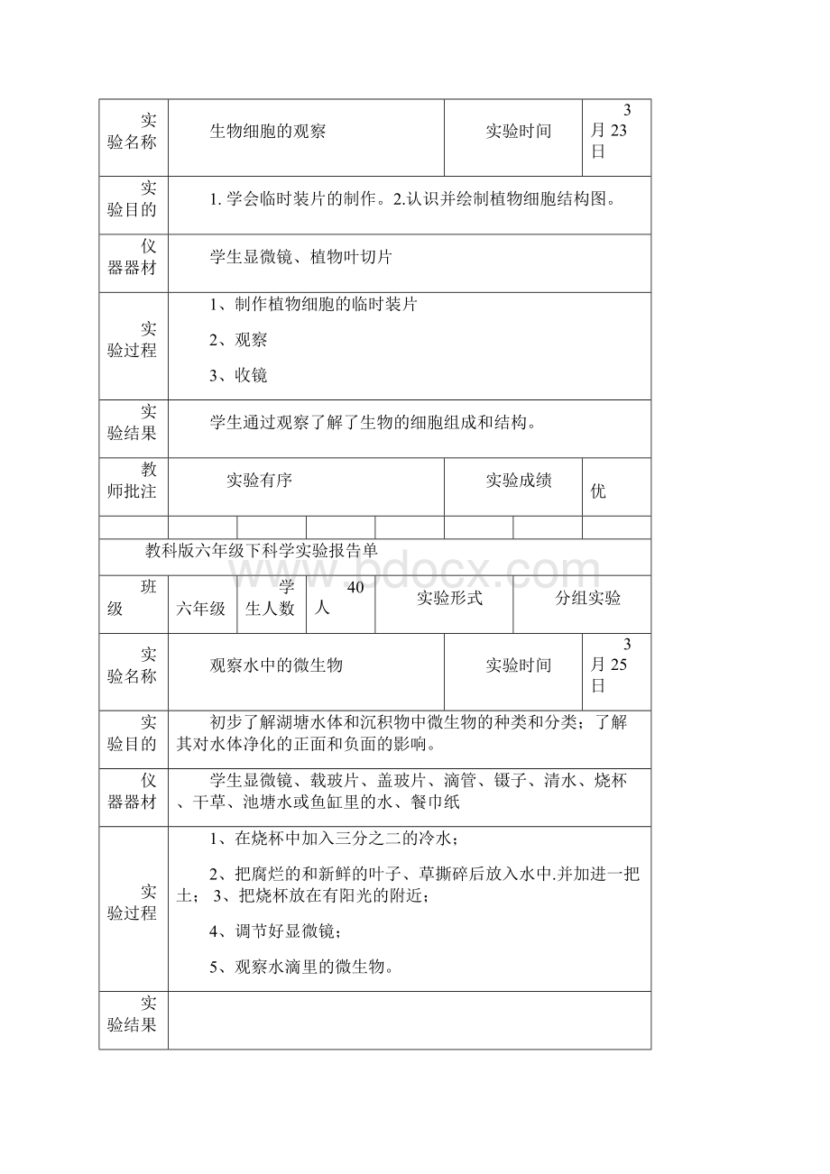 六年级科学下册实验报告单 新版.docx_第3页