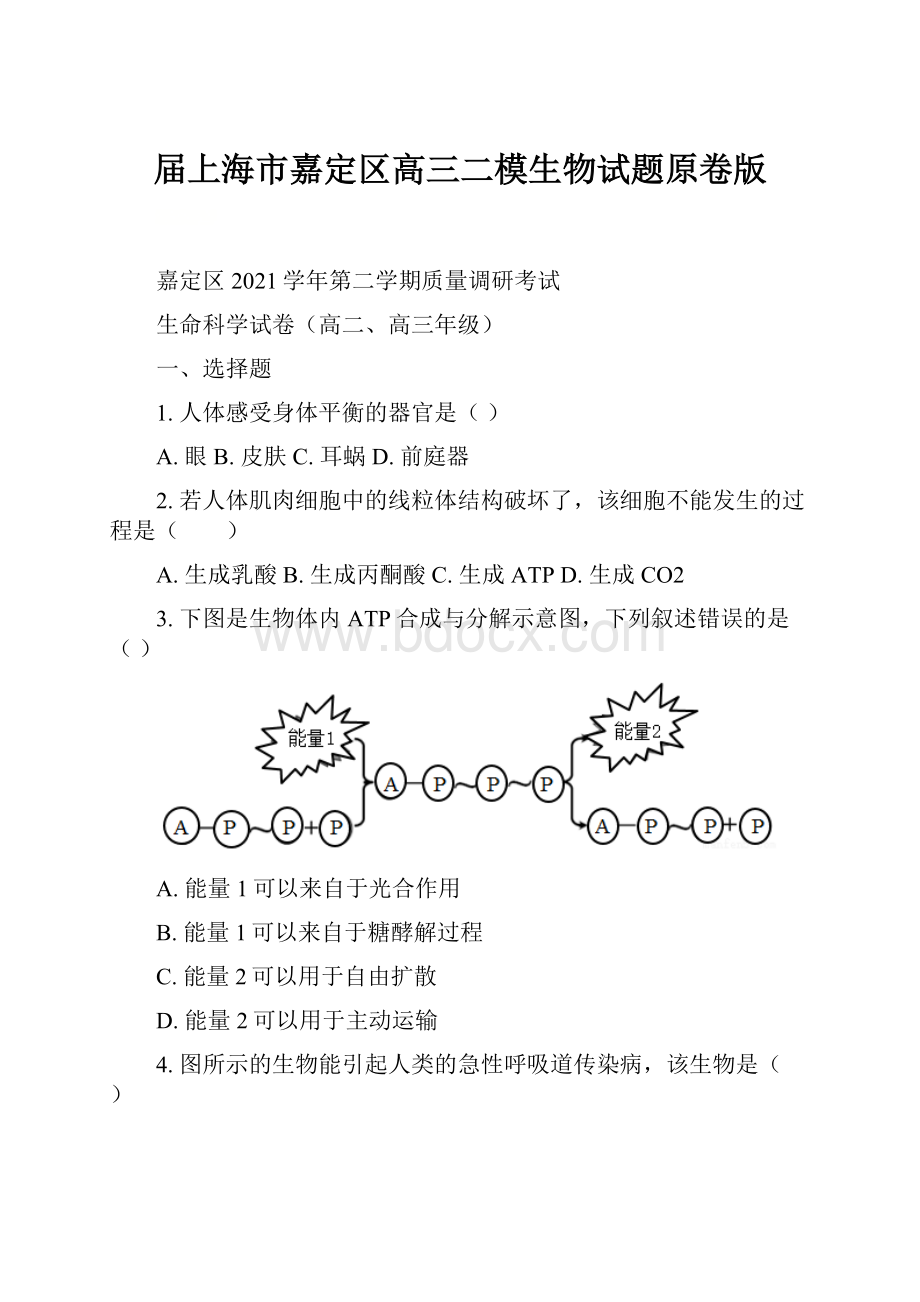 届上海市嘉定区高三二模生物试题原卷版.docx