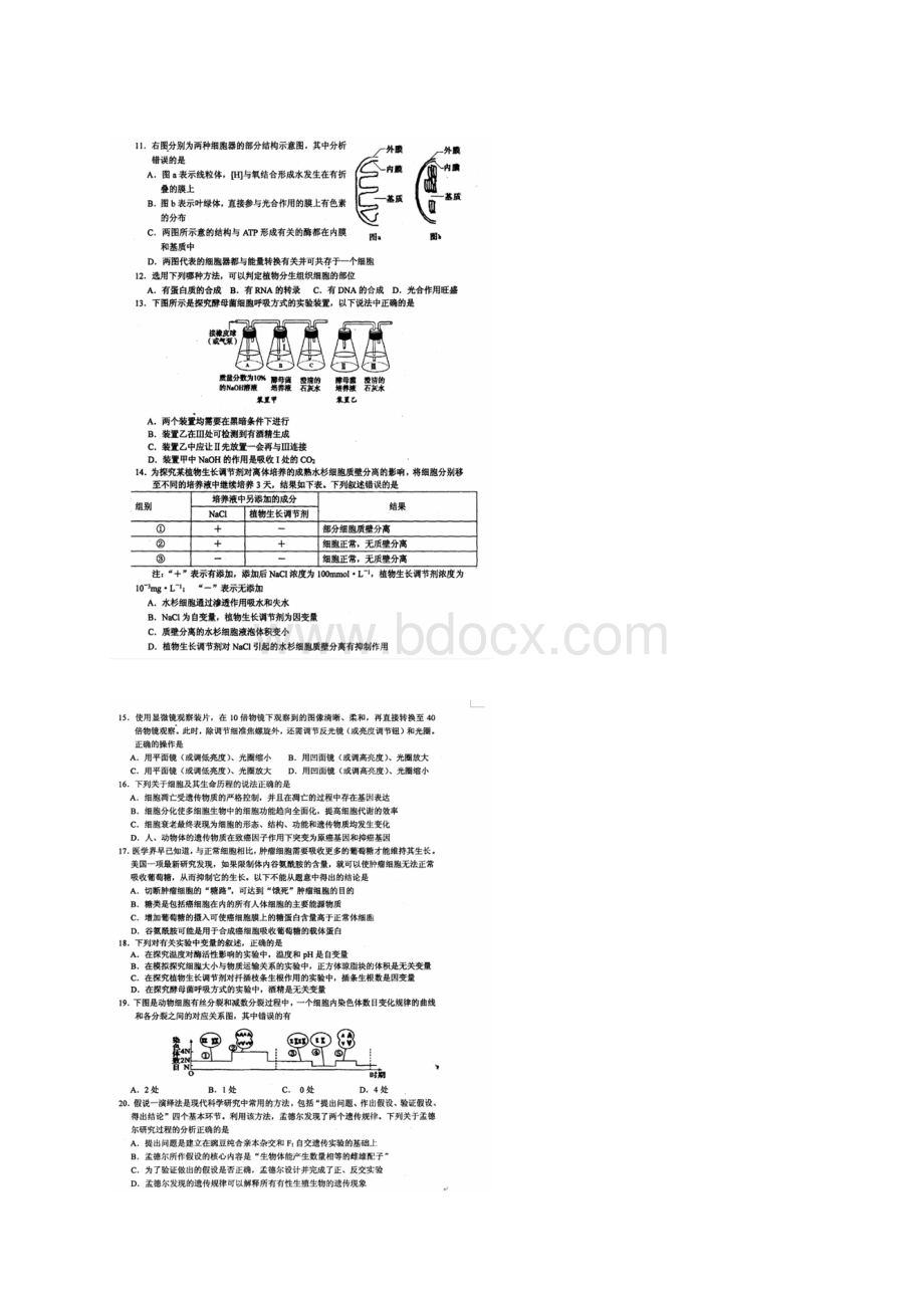 届河南省南阳市高三上学期期中质量评估生物试题及.docx_第3页