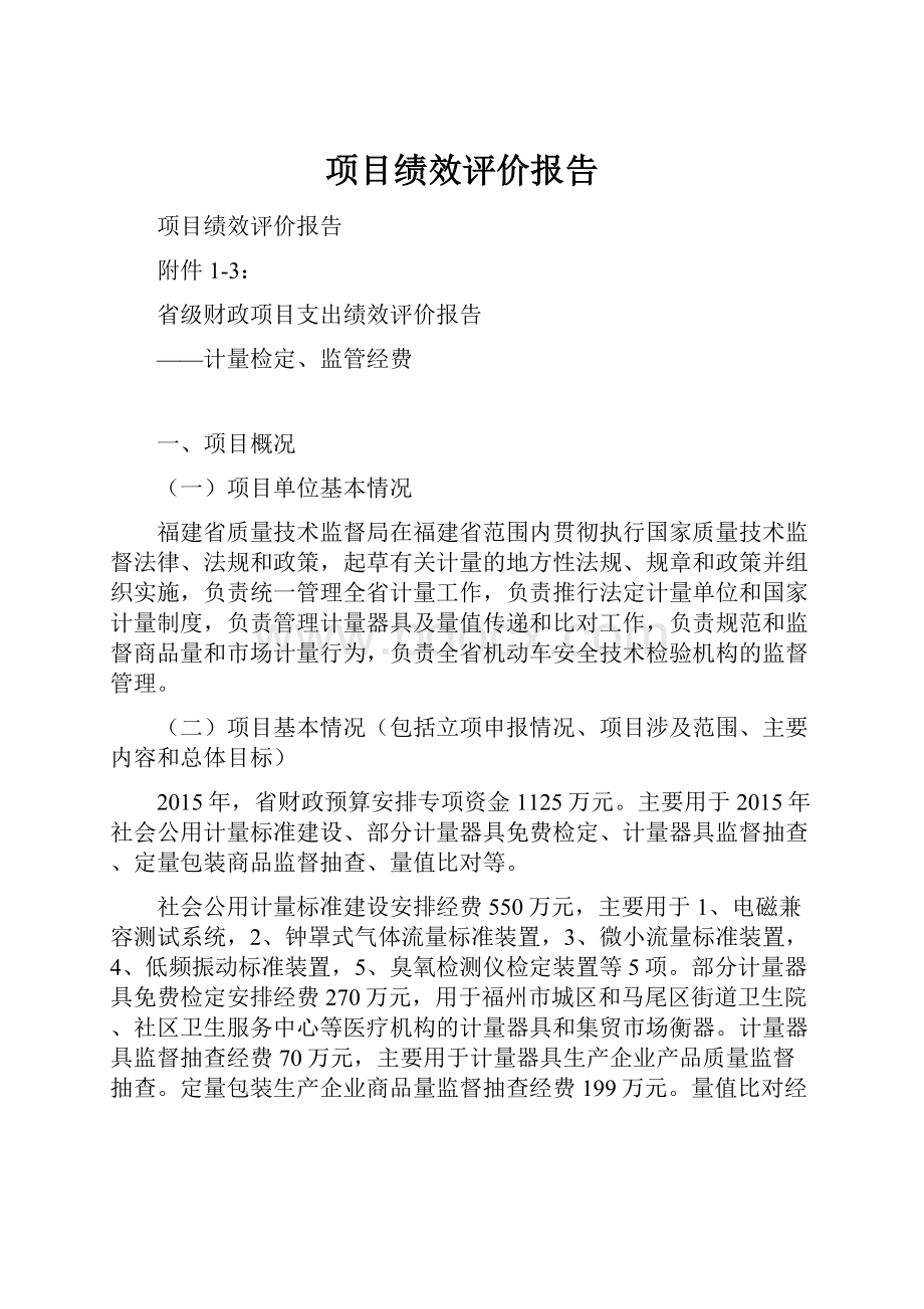 项目绩效评价报告.docx_第1页