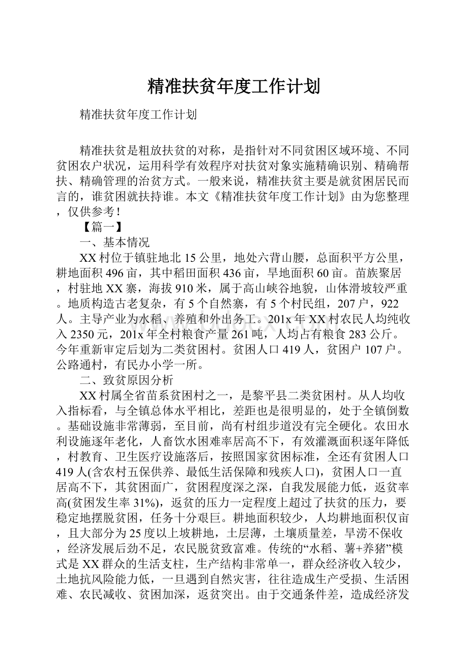 精准扶贫年度工作计划.docx_第1页