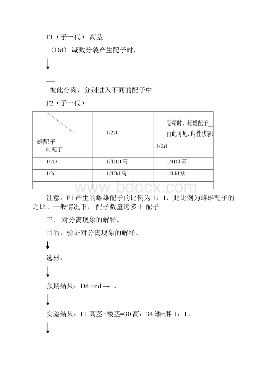 分离定律.docx_第3页