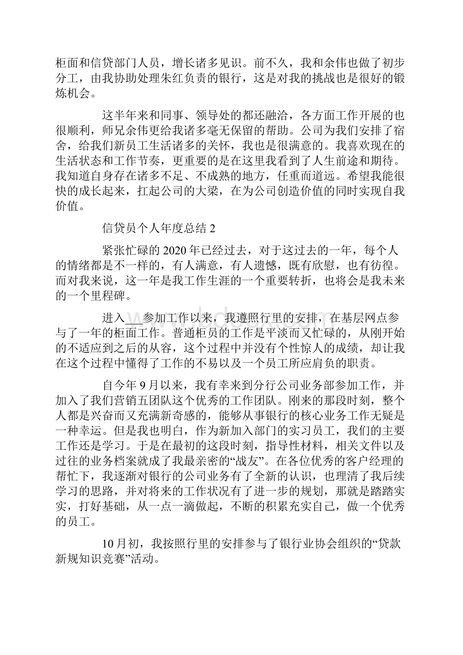 信贷员个人年度总结.docx_第2页