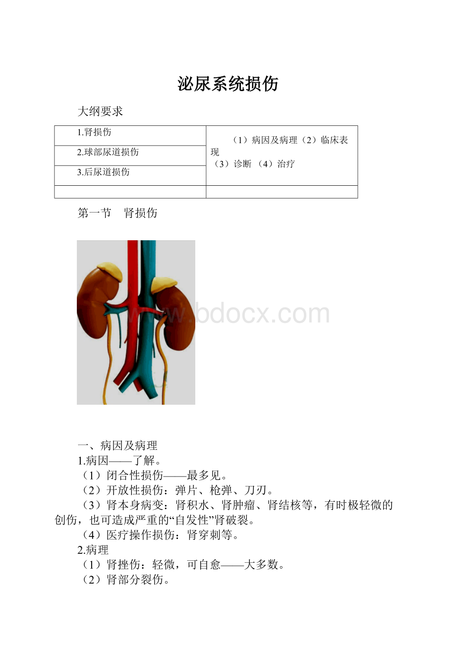 泌尿系统损伤.docx