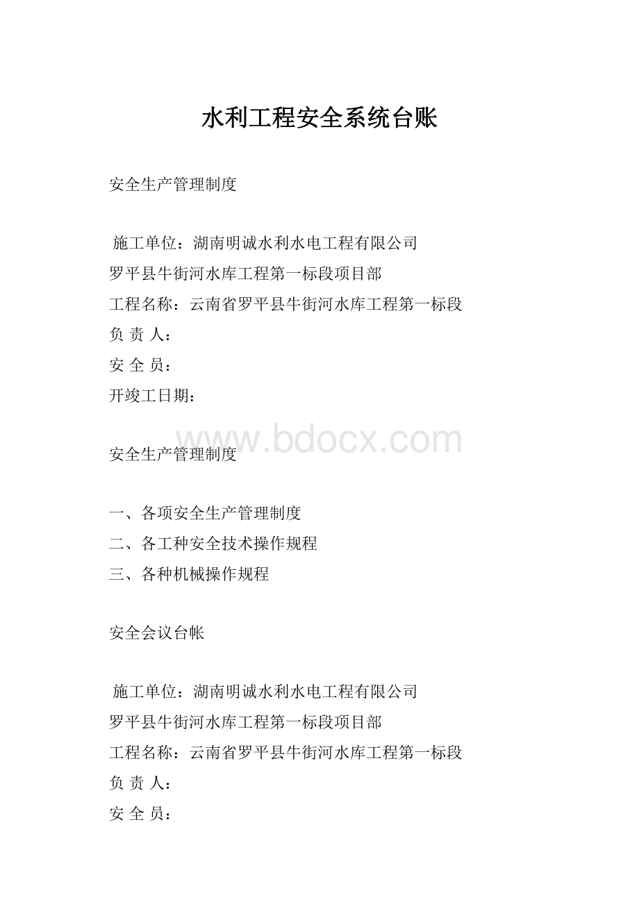 水利工程安全系统台账.docx_第1页