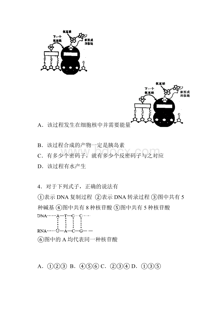 高三上学期第一次质量检测生物试题含答案.docx_第2页