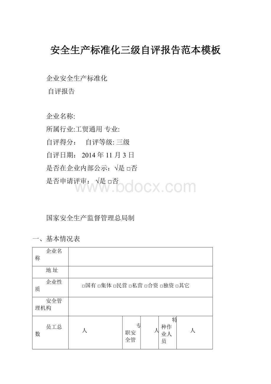 安全生产标准化三级自评报告范本模板.docx