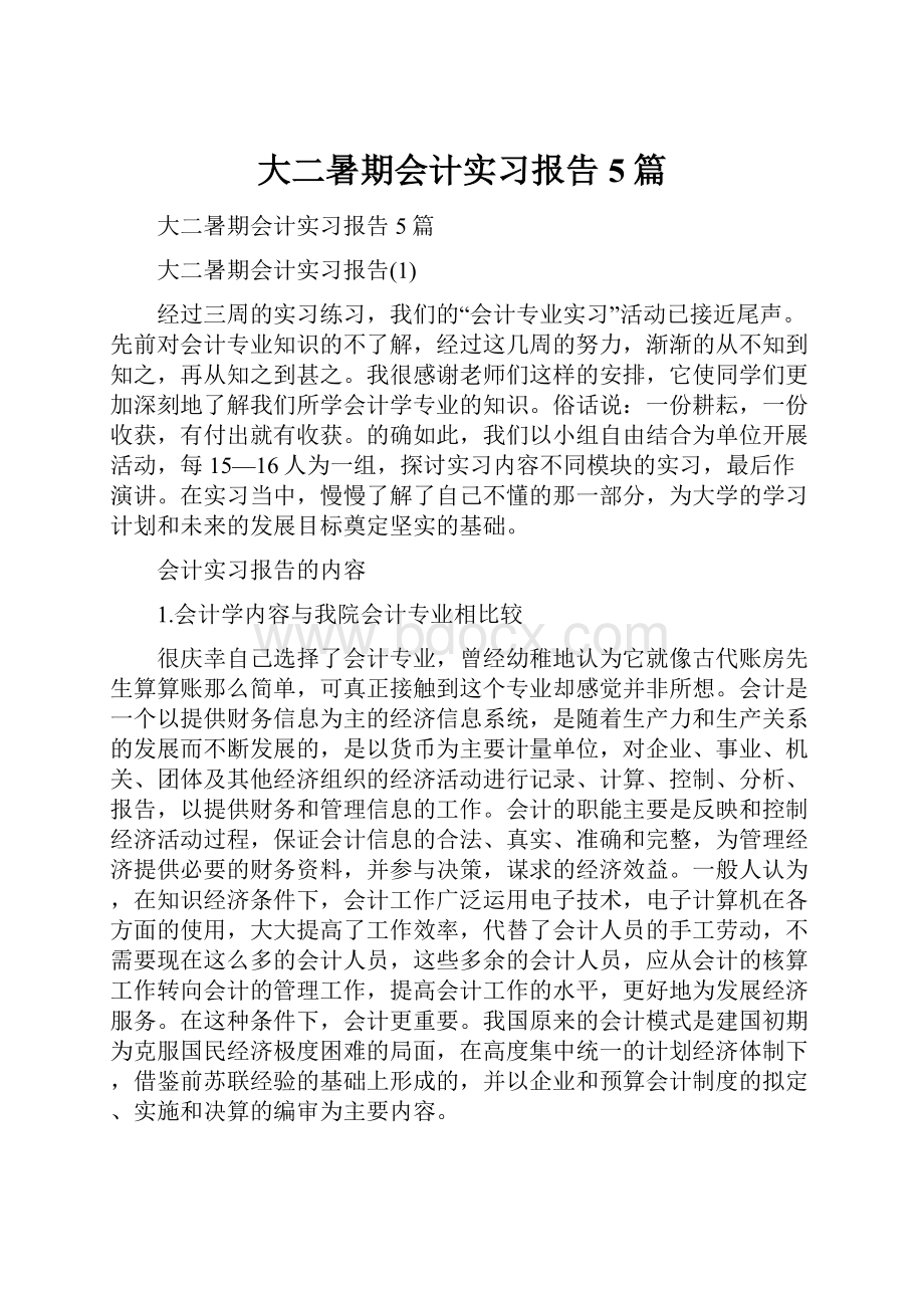 大二暑期会计实习报告5篇.docx