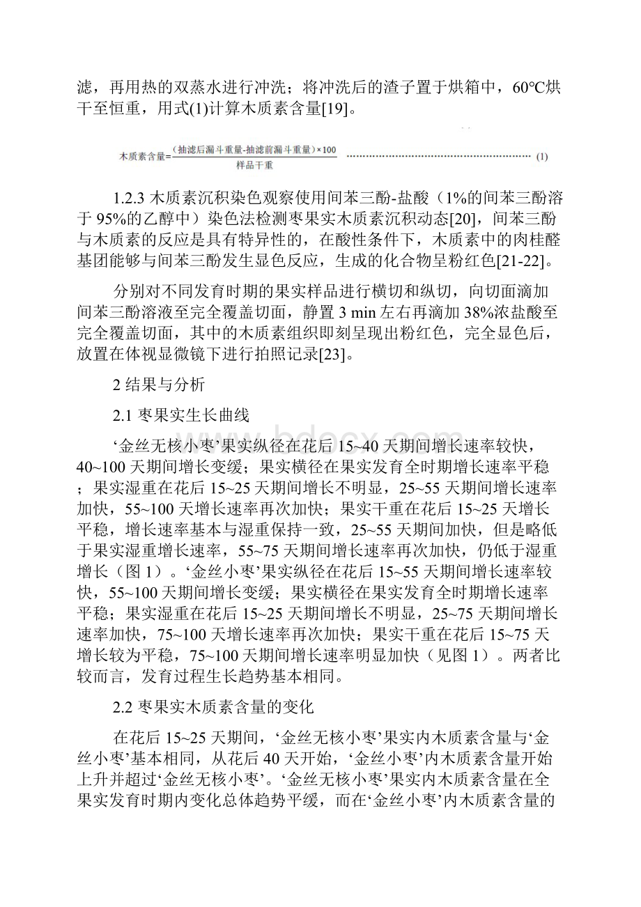 不同品种枣内果皮发育过程中木质素沉积的观察比较.docx_第3页