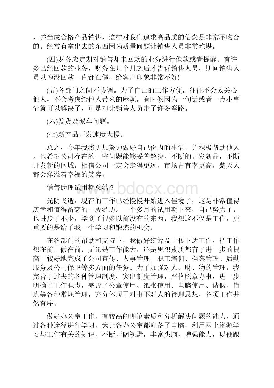 销售助理试用期总结5篇.docx_第2页