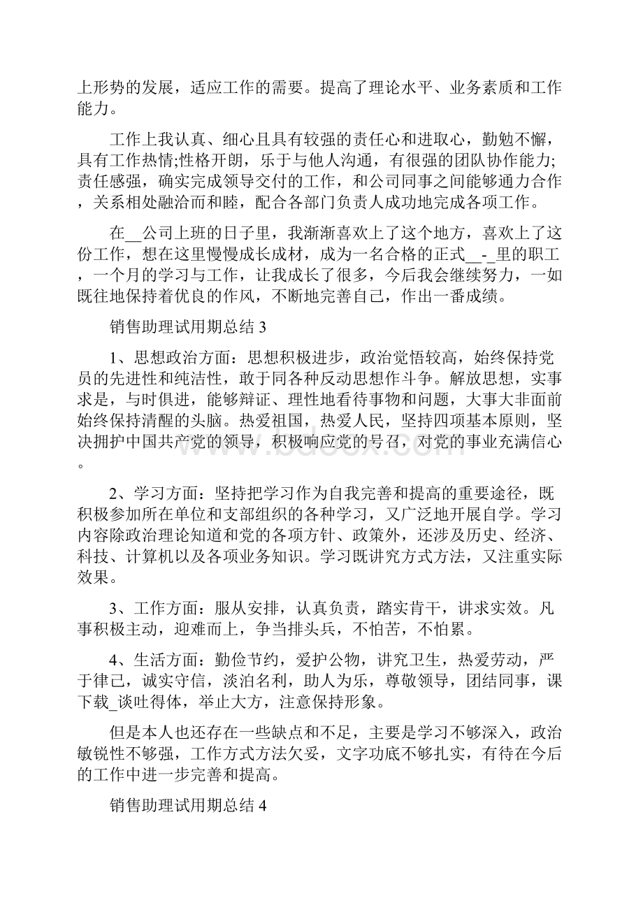 销售助理试用期总结5篇.docx_第3页