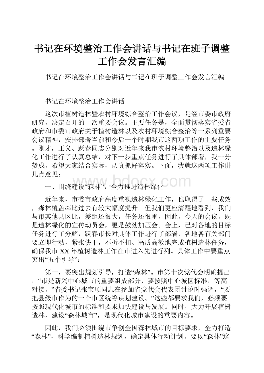 书记在环境整治工作会讲话与书记在班子调整工作会发言汇编.docx_第1页