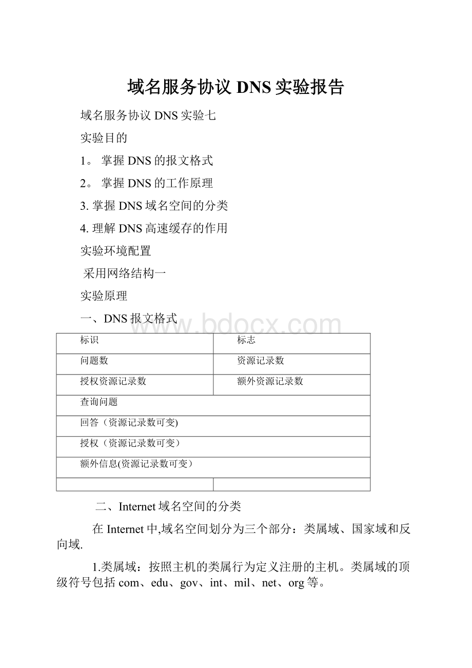 域名服务协议DNS实验报告.docx_第1页