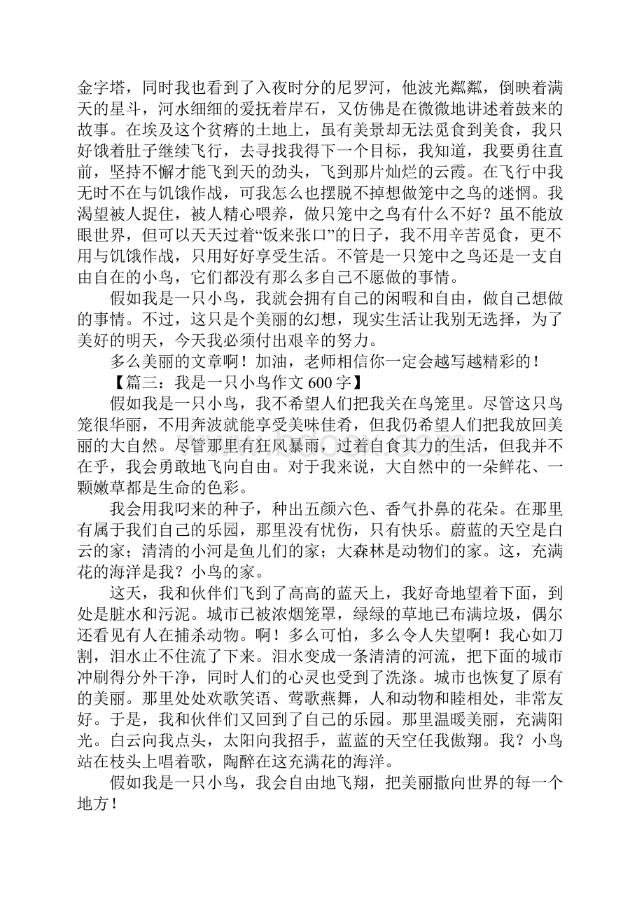 我是一只小鸟作文600字.docx_第2页