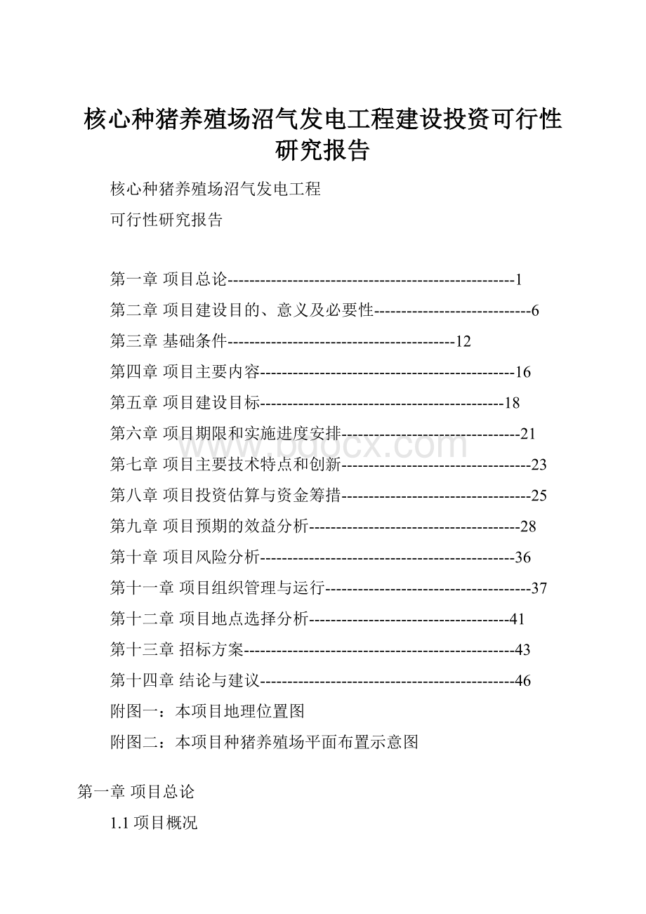 核心种猪养殖场沼气发电工程建设投资可行性研究报告.docx