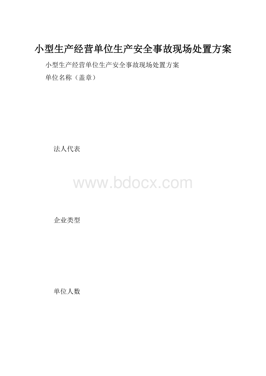 小型生产经营单位生产安全事故现场处置方案.docx