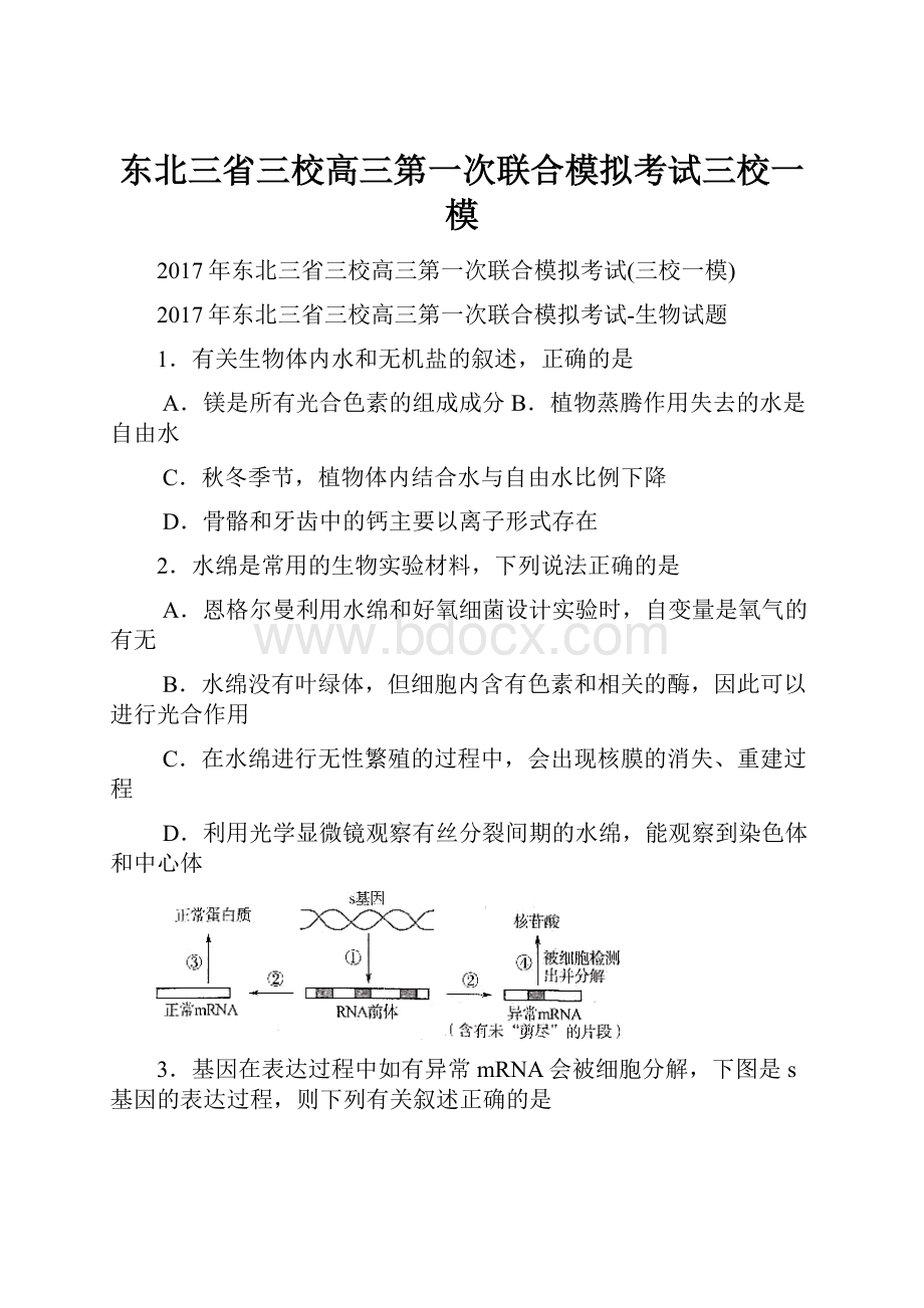 东北三省三校高三第一次联合模拟考试三校一模.docx