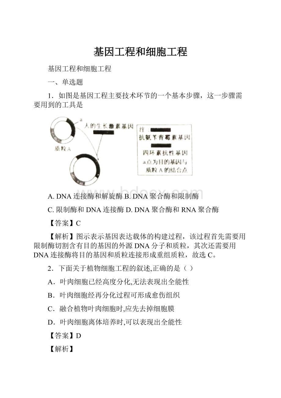 基因工程和细胞工程.docx