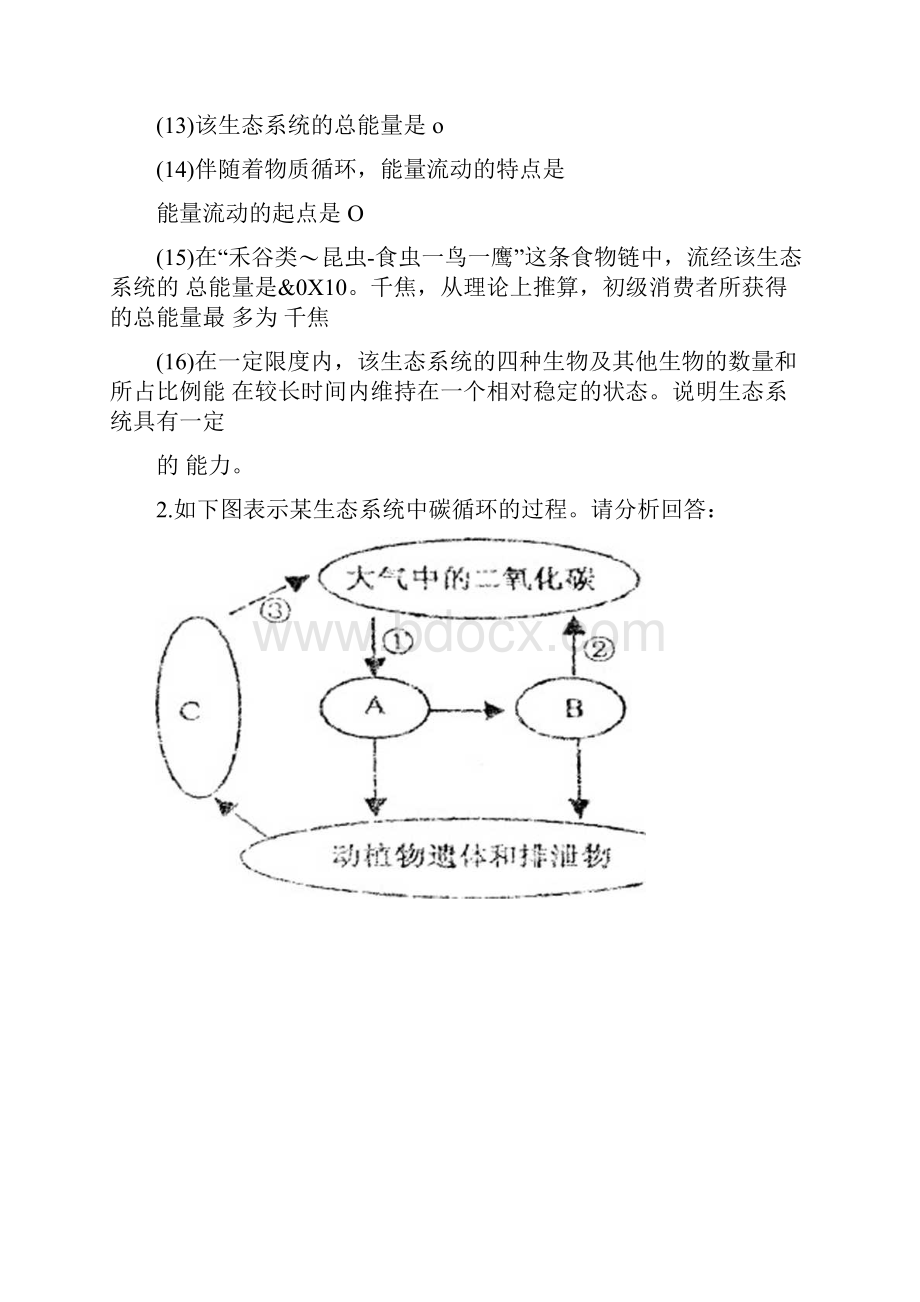 生态系统测试题.docx_第3页