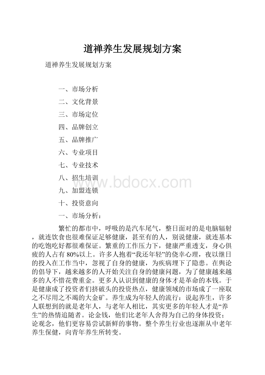 道禅养生发展规划方案.docx_第1页