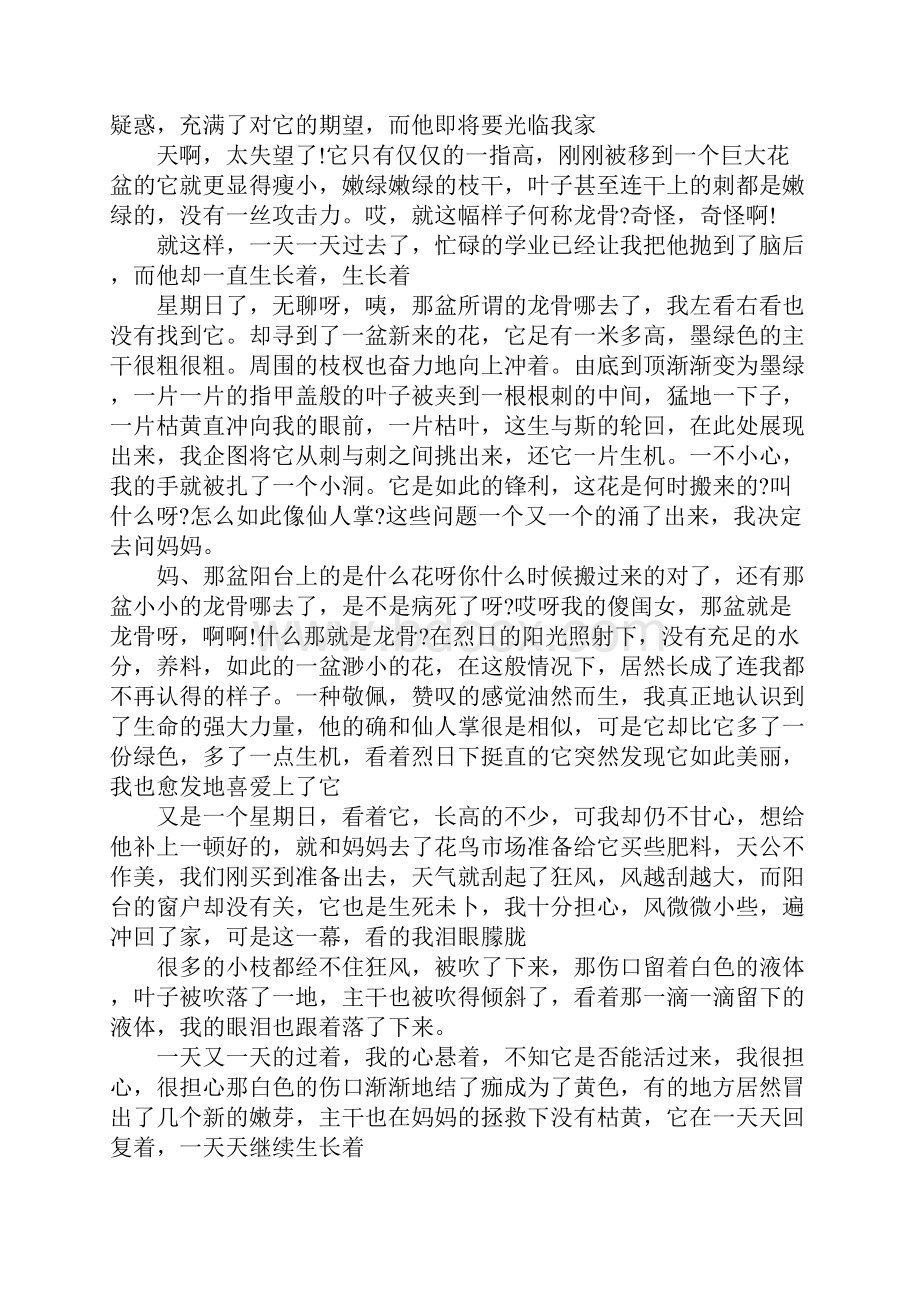 有一种力量从未消失中考满分作文6篇.docx_第3页