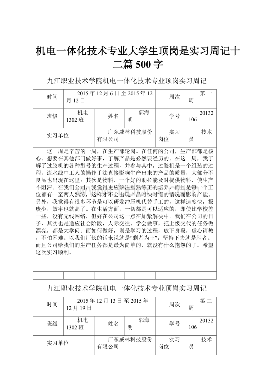 机电一体化技术专业大学生顶岗是实习周记十二篇500字.docx