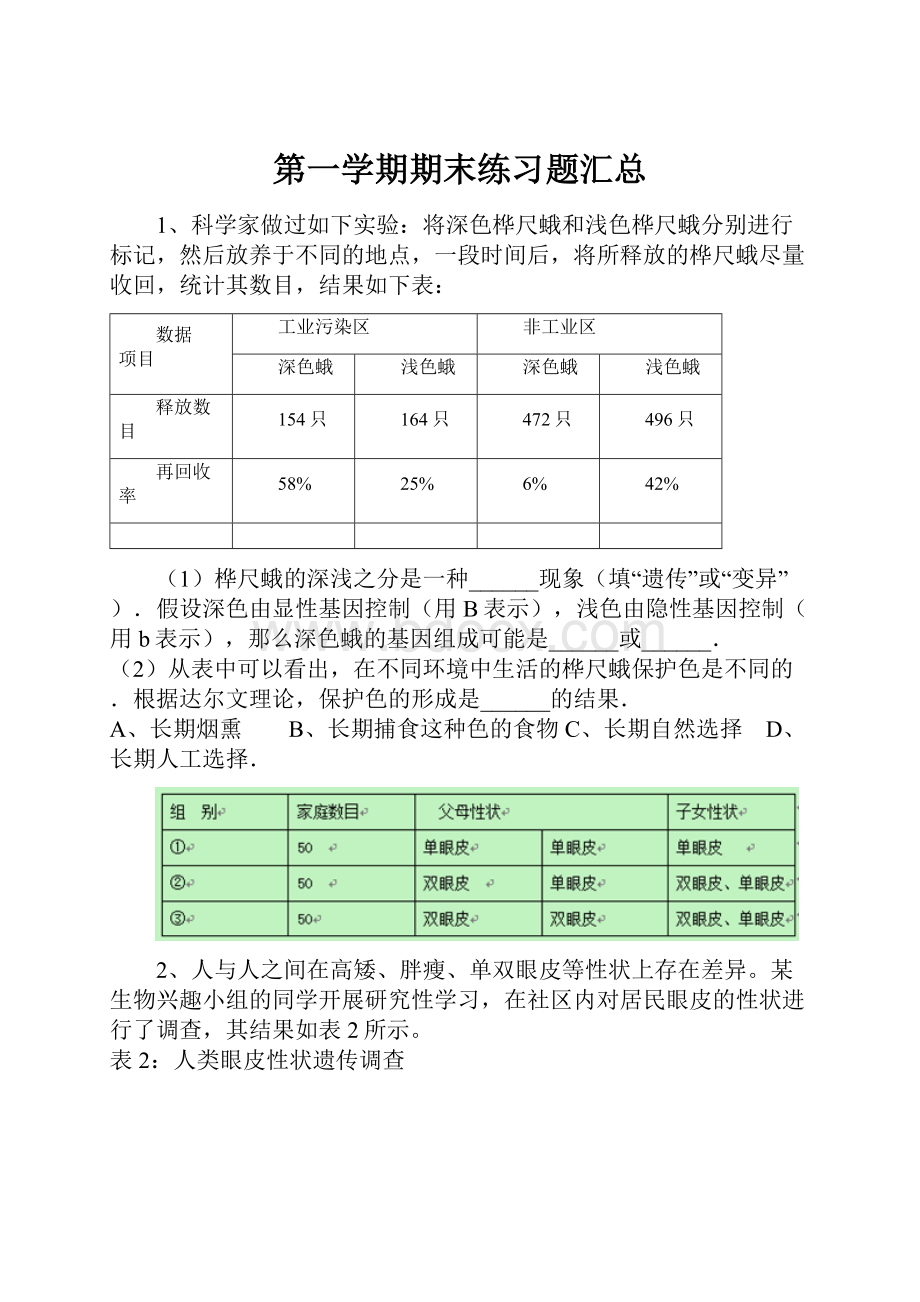 第一学期期末练习题汇总.docx_第1页