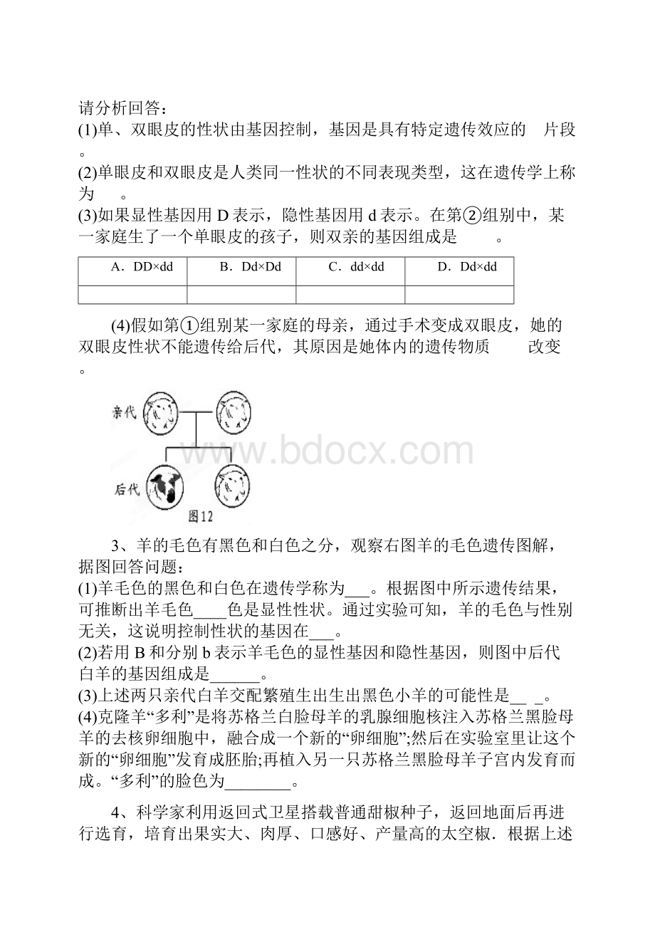 第一学期期末练习题汇总.docx_第2页