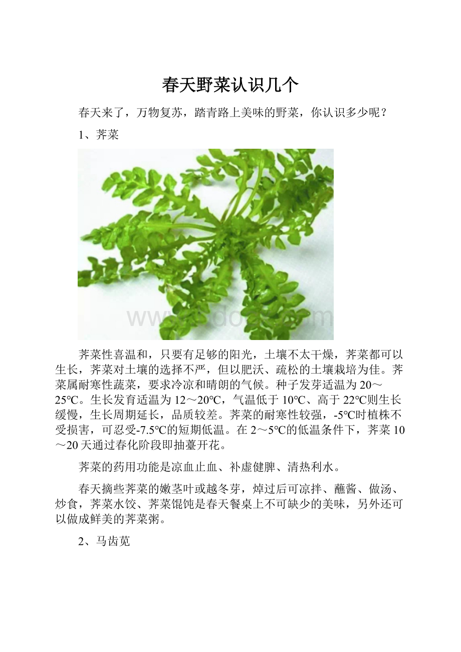 春天野菜认识几个.docx_第1页