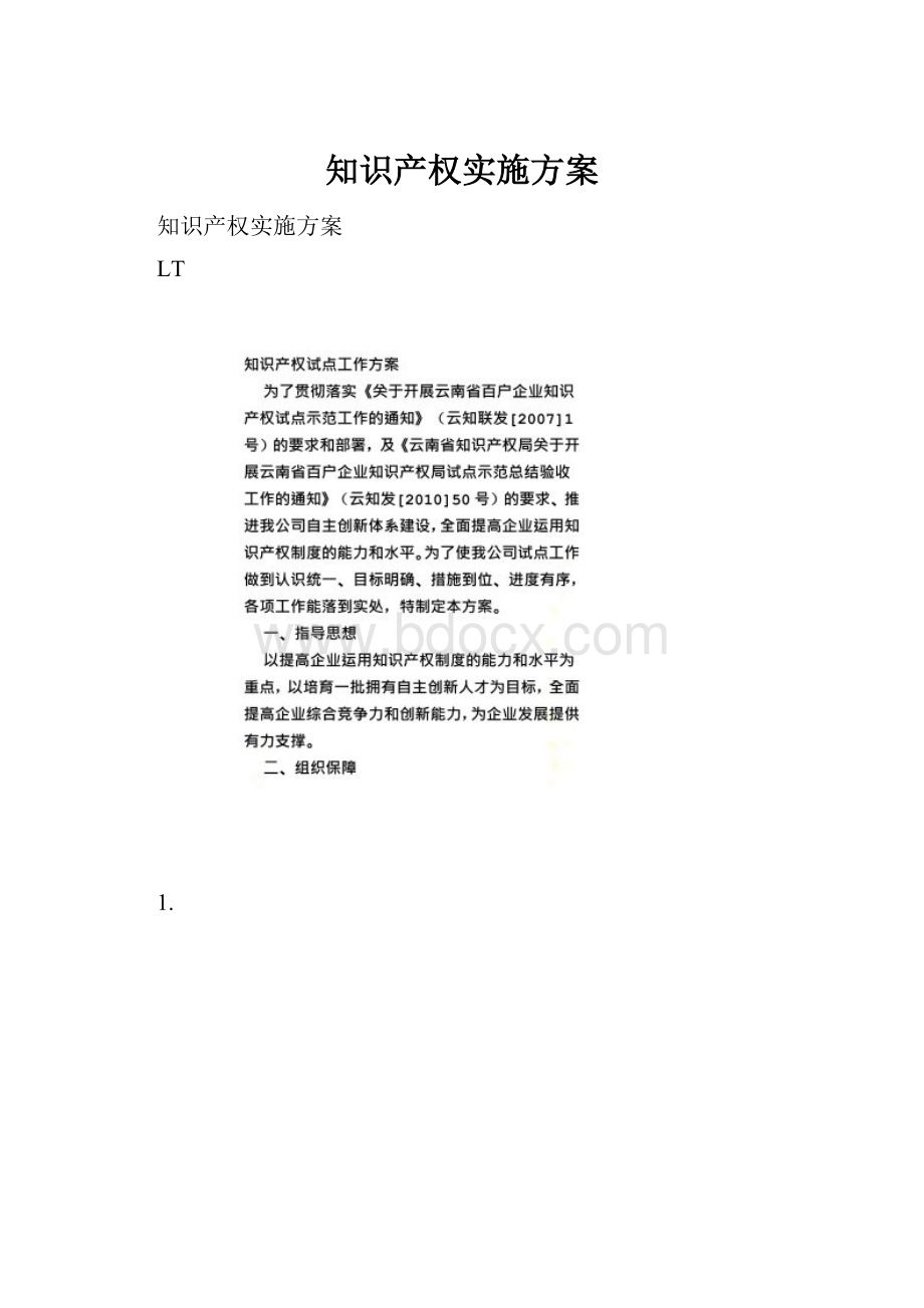 知识产权实施方案.docx