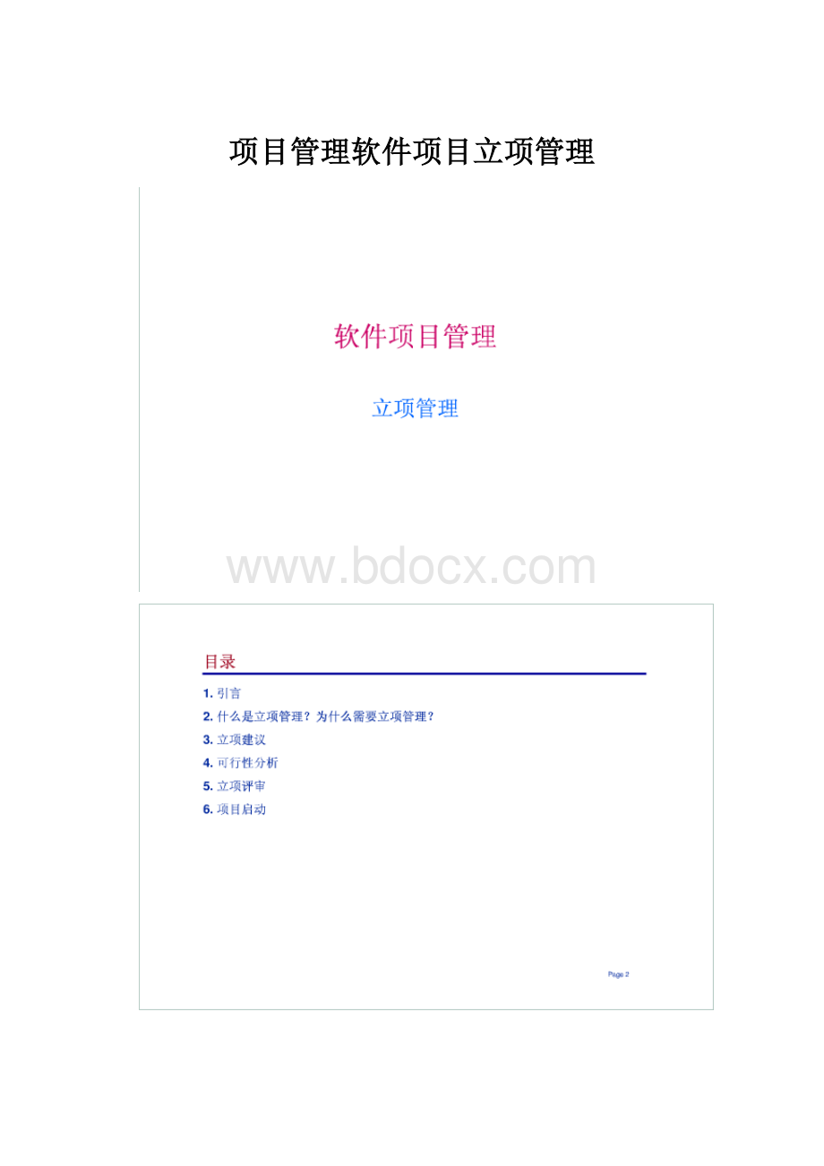 项目管理软件项目立项管理.docx