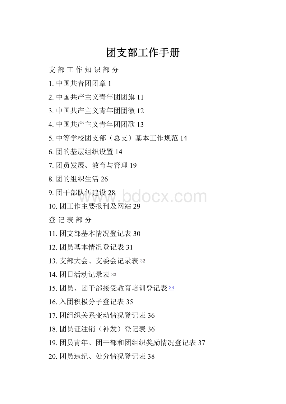 团支部工作手册.docx