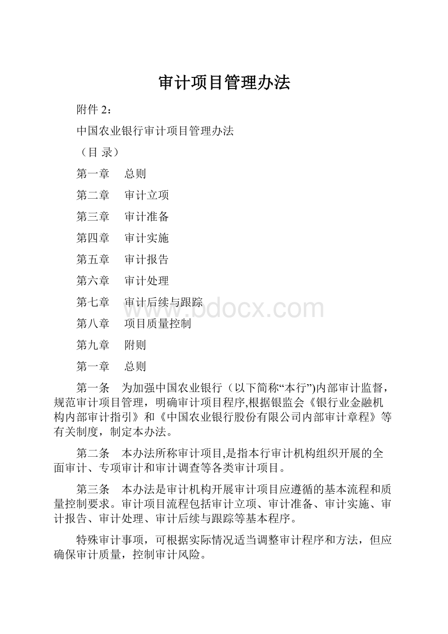 审计项目管理办法.docx