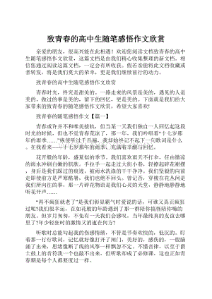 致青春的高中生随笔感悟作文欣赏.docx