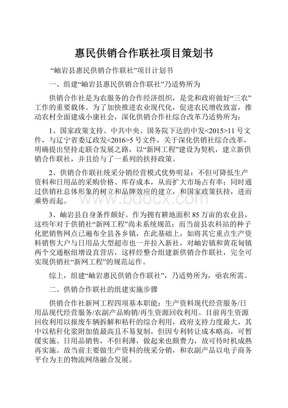 惠民供销合作联社项目策划书.docx_第1页