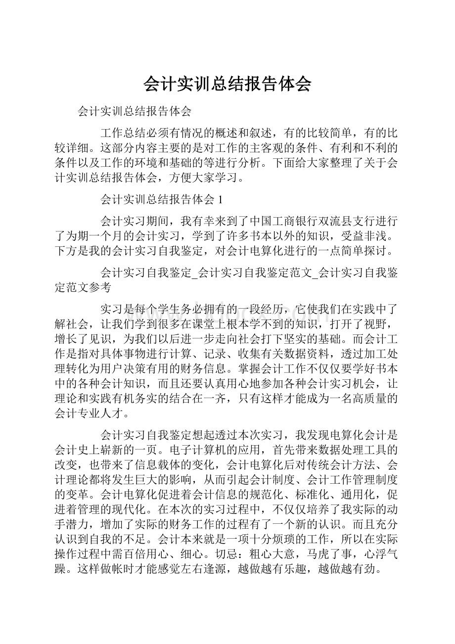 会计实训总结报告体会.docx