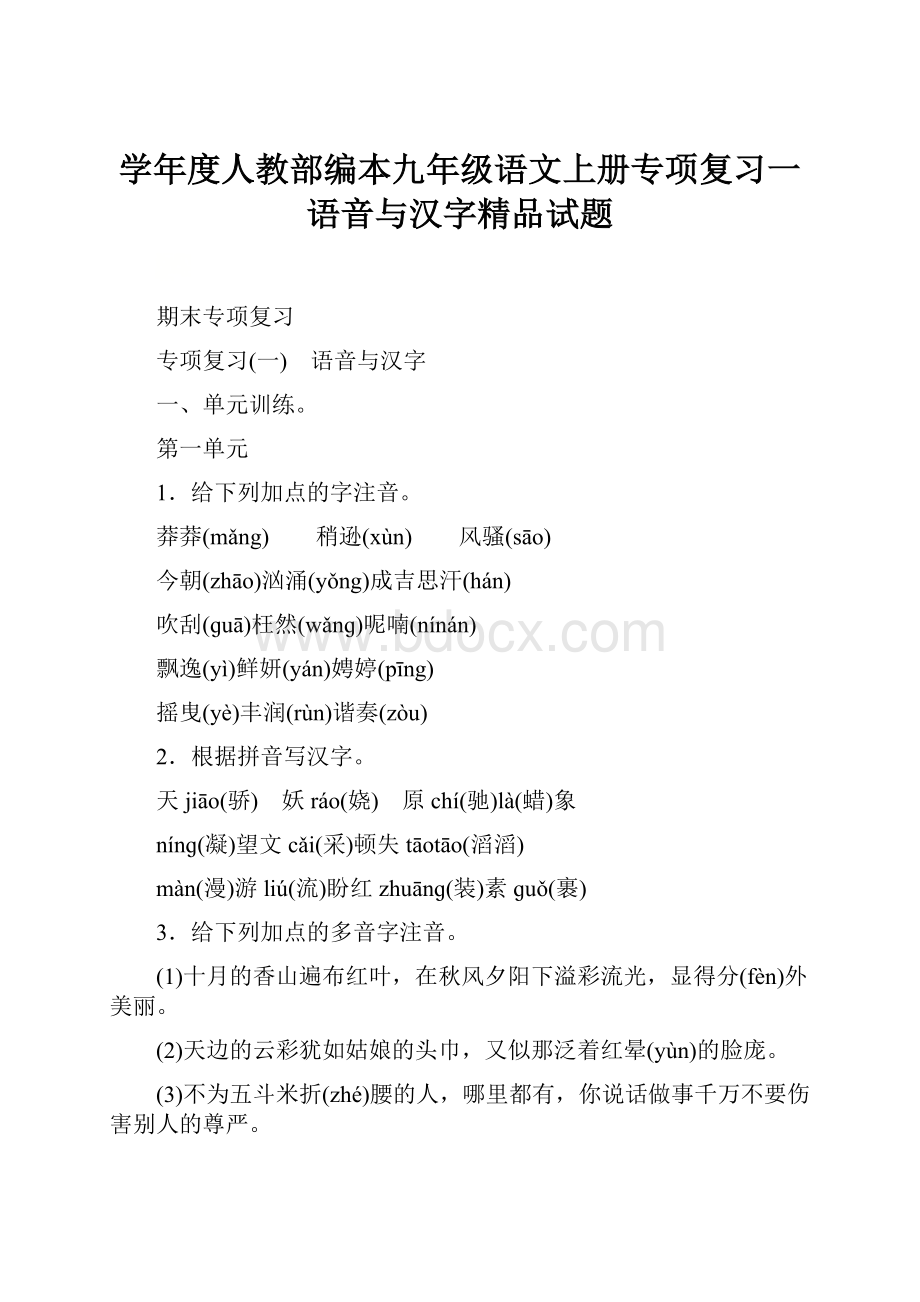 学年度人教部编本九年级语文上册专项复习一语音与汉字精品试题.docx