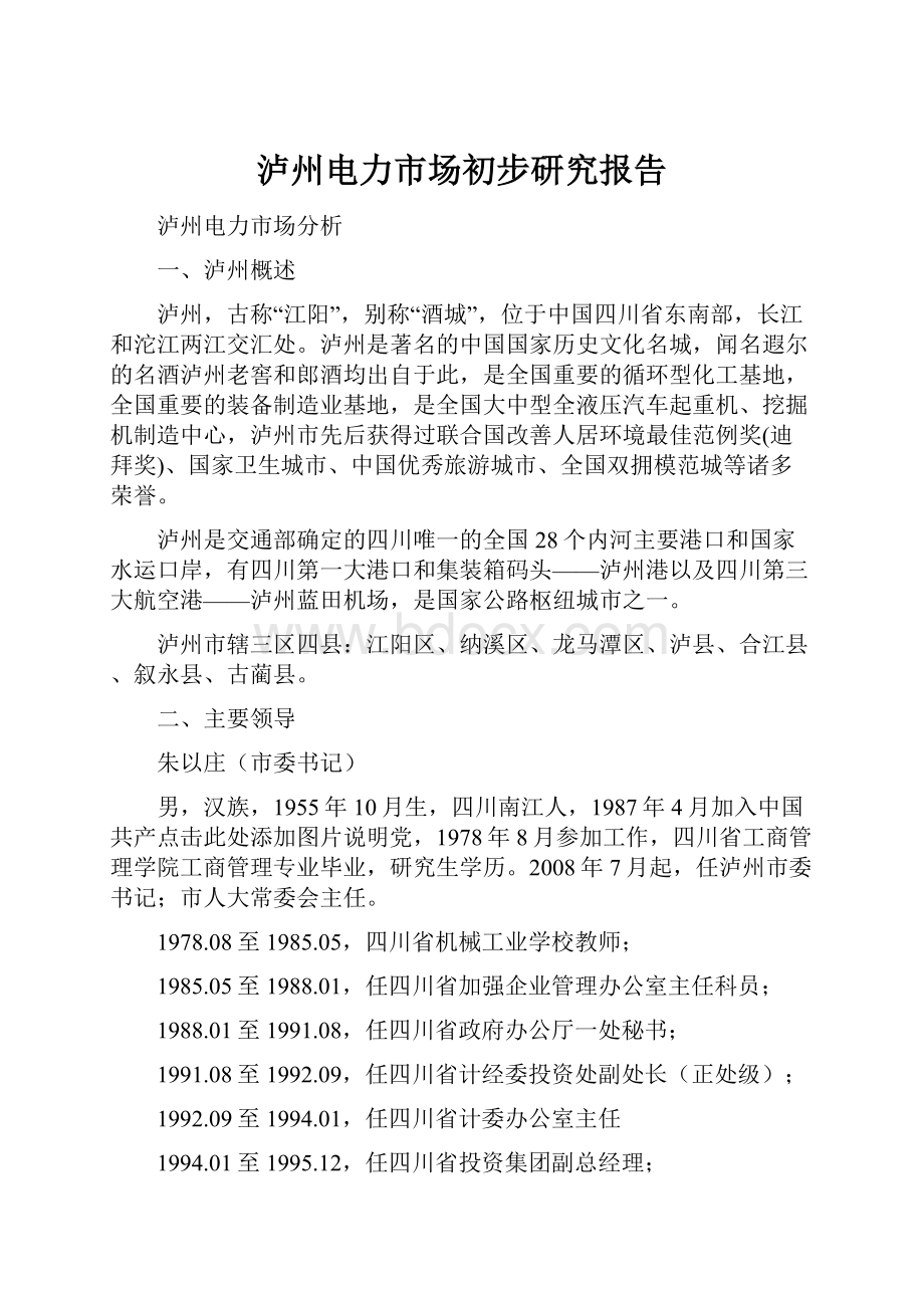 泸州电力市场初步研究报告.docx