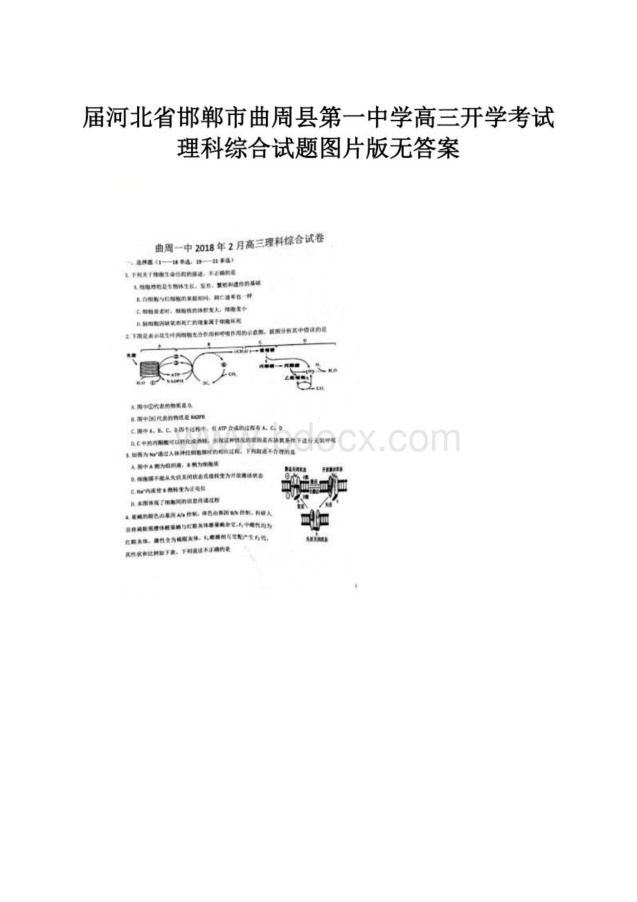 届河北省邯郸市曲周县第一中学高三开学考试理科综合试题图片版无答案.docx_第1页