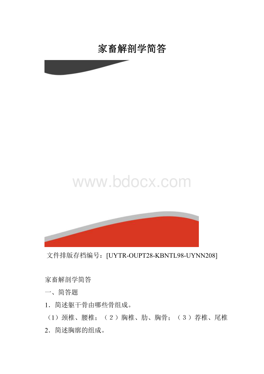 家畜解剖学简答.docx