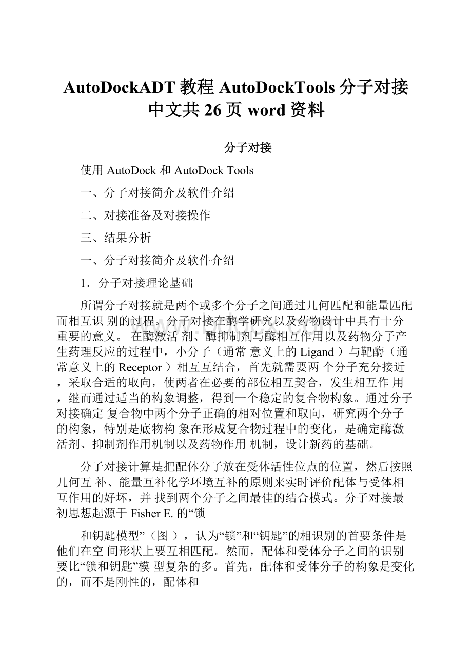 AutoDockADT教程AutoDockTools分子对接中文共26页word资料.docx