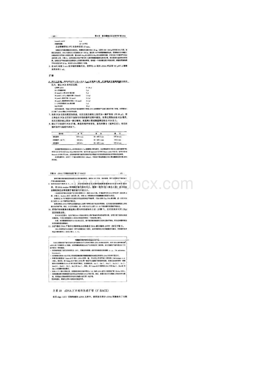 分子克隆实验指南图文精.docx_第3页