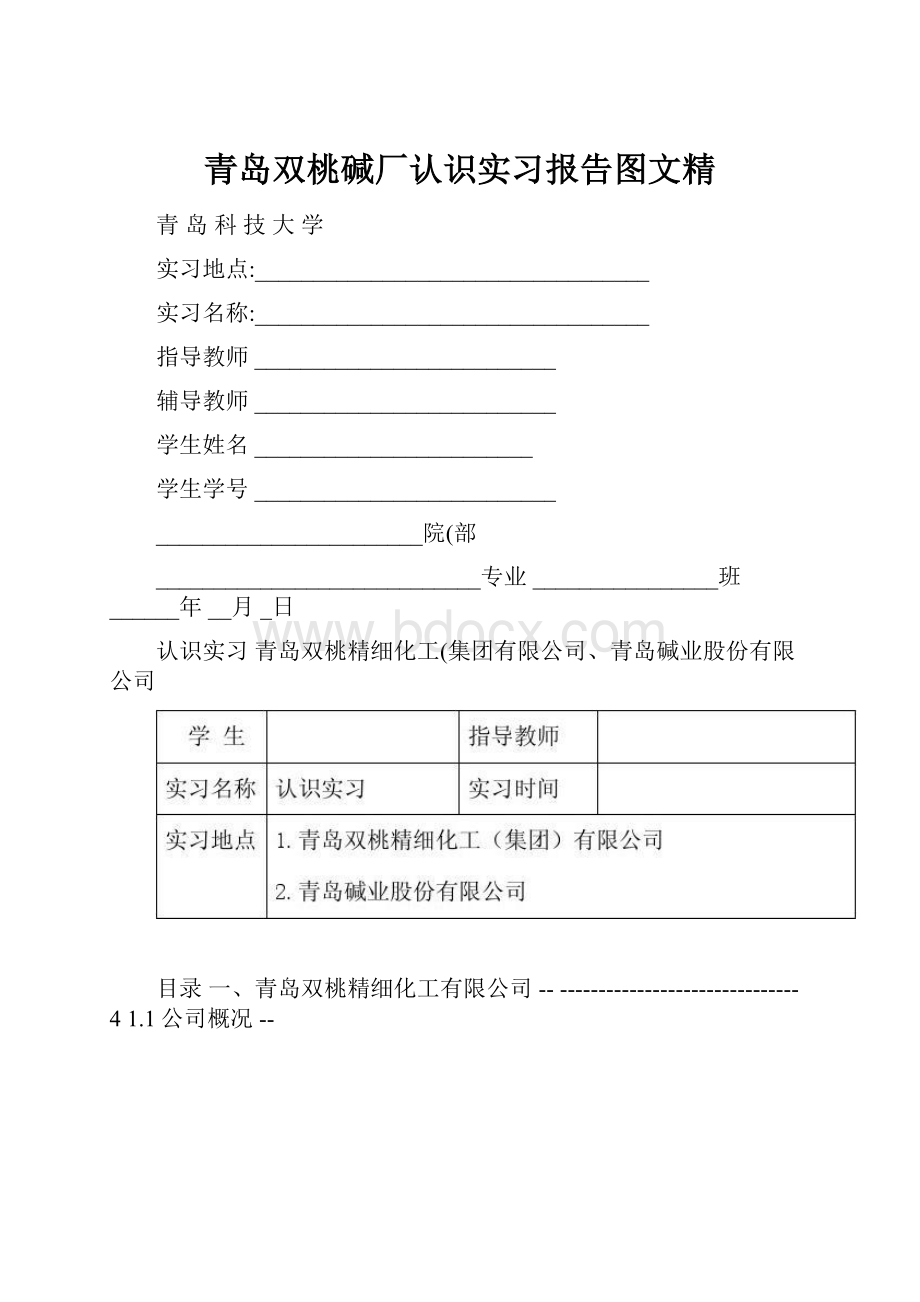 青岛双桃碱厂认识实习报告图文精.docx_第1页