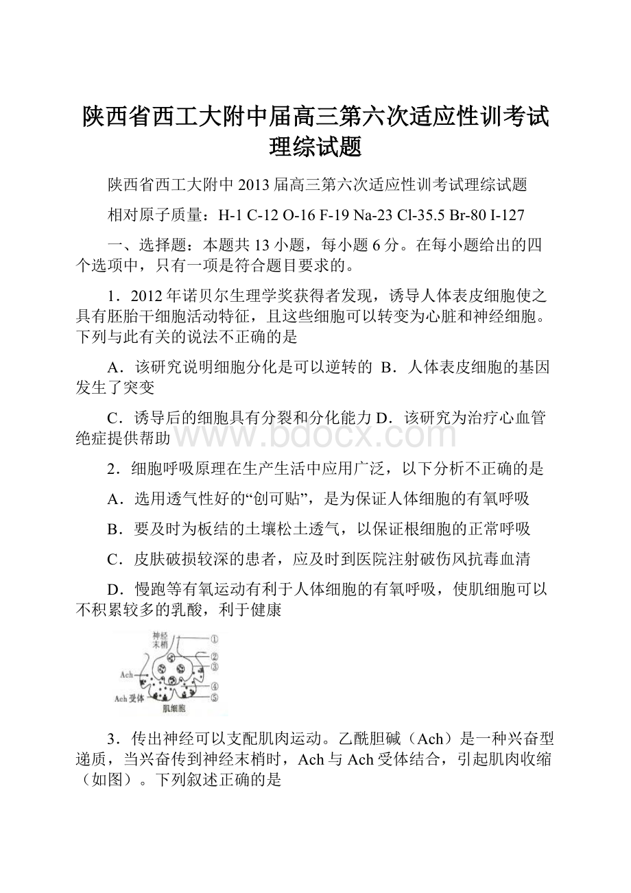 陕西省西工大附中届高三第六次适应性训考试理综试题.docx