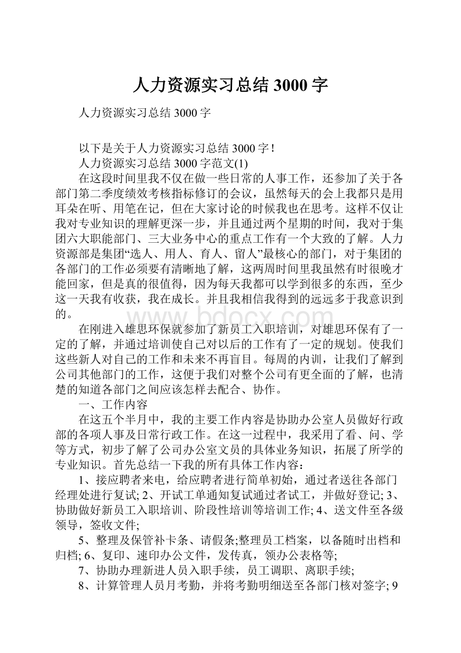 人力资源实习总结3000字.docx_第1页