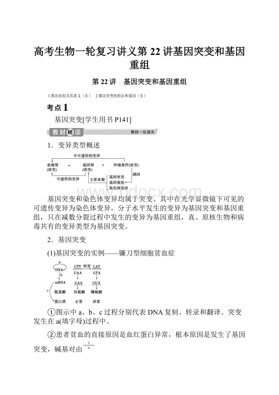 高考生物一轮复习讲义第22讲基因突变和基因重组.docx_第1页