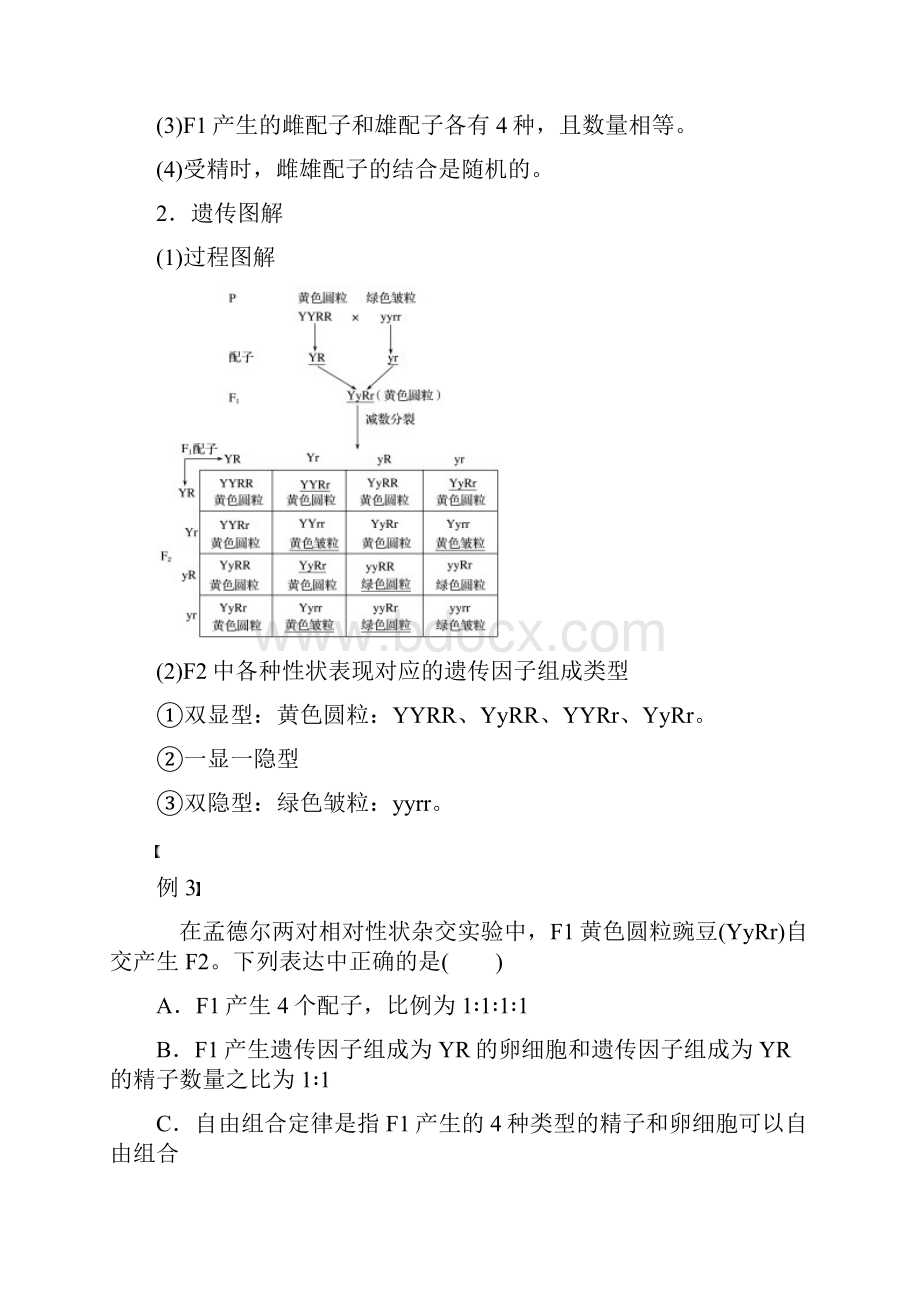 最新学年高中生物 第1章第2节第1课时 两对相对性状的杂交实验过程解释学案 新人教版必修2考试专用.docx_第3页